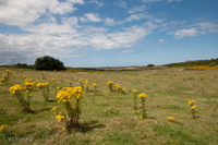 Bretagne 2015.jpg